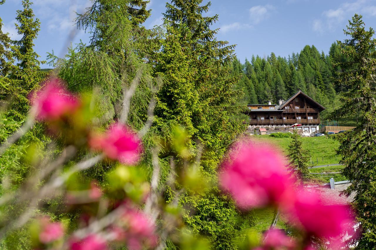 Hotel Sattleggers Alpenhof & Feriensternwarte à Greifenburg Extérieur photo